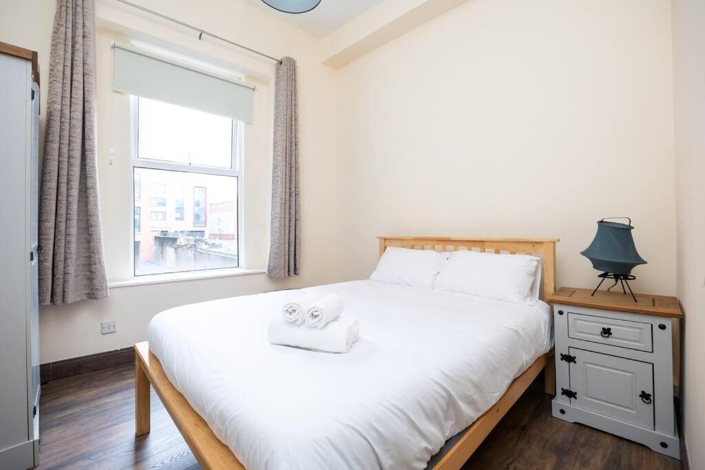 Homely 1 Bedroom Apartment In Smithfield, Dublin Exterior foto